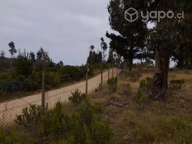 terreno La vega de Pupuya, Navidad