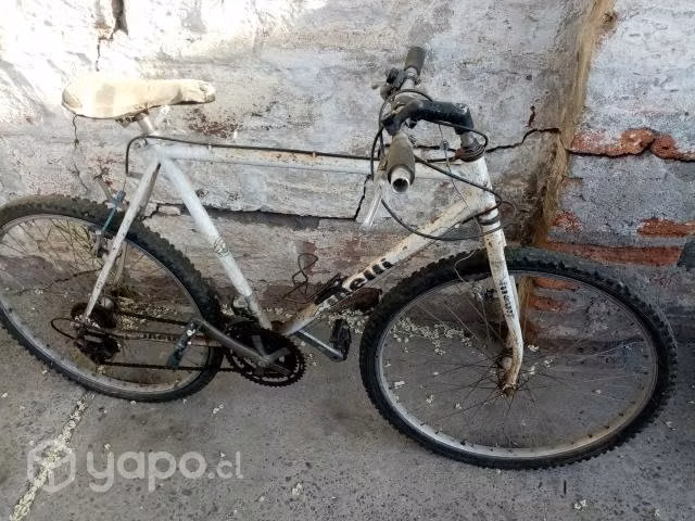 Bicicletas