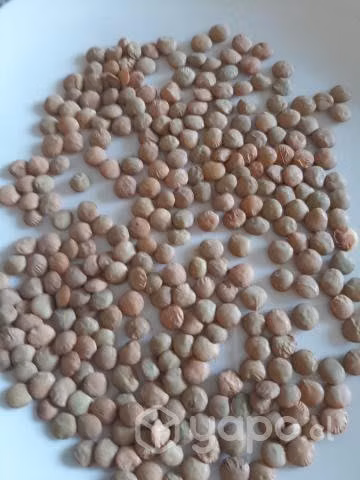 Legumbres y frutos secos - Imagen 3