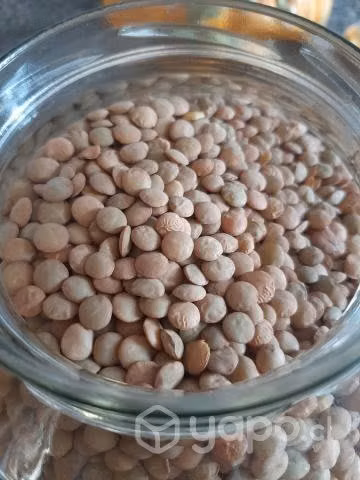 Legumbres y frutos secos - Imagen 2