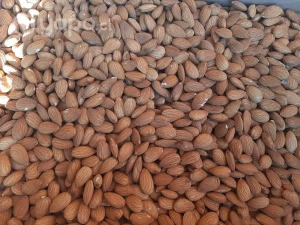 Legumbres y frutos secos