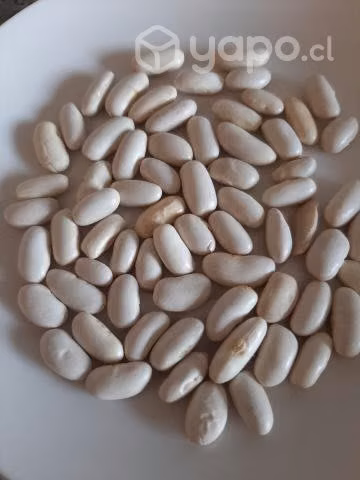 Legumbres y frutos secos - Imagen 4