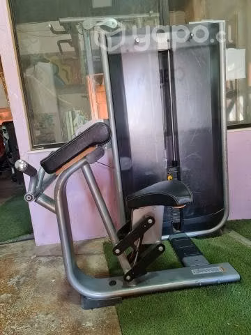Maquina de biceps - obelix
