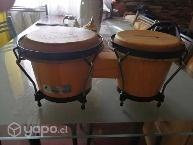 Bongos Marca Tropicana