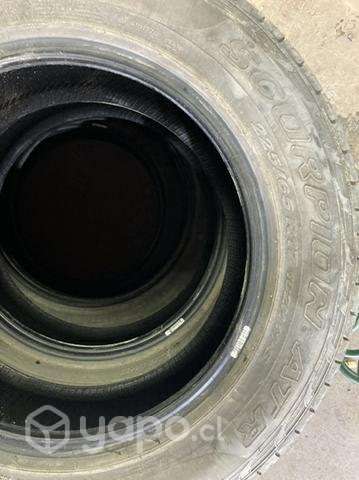 Neumáticos Pirelli - Imagen 2