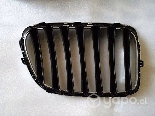 Riñón Rejilla BMW E Nueva Original