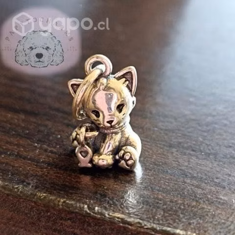Charms de plata