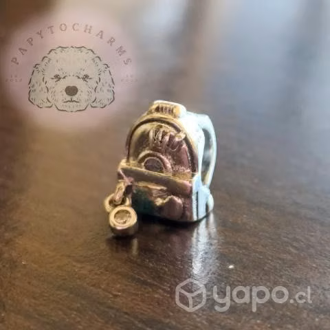 Charms de plata