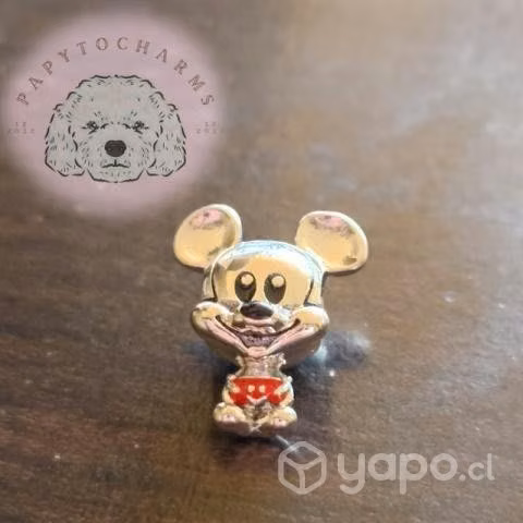 Charms de plata
