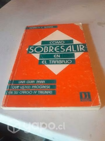 Libro Cómo sobresalir en el trabajo