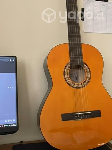 Guitarra Vizcaya arcg44