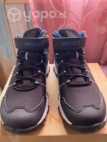 Zapatos botines