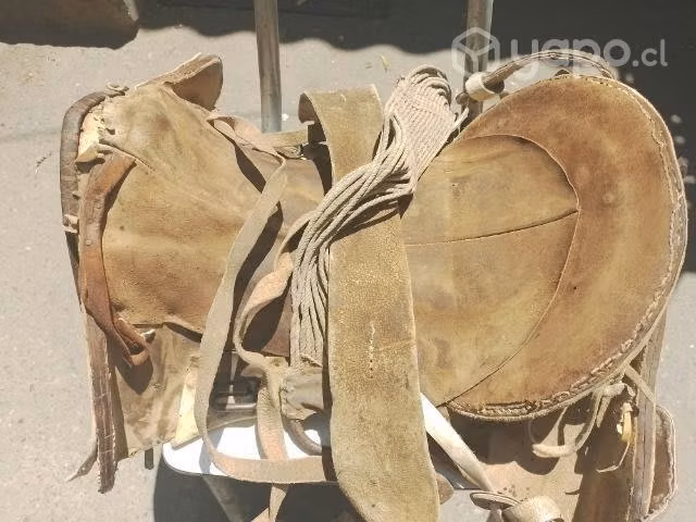 Casco de montura