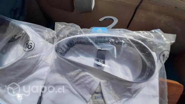 Set de 5 Camisas de Colegio Niño Talla 16