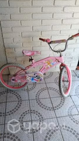 Bicicletas de princesas