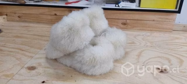 Pantuflas de chiporro