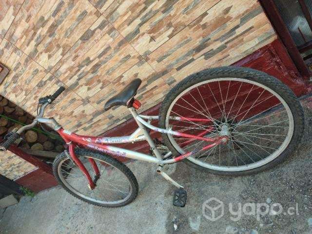 Bianchi Classic Aro 26 - Imagen 3