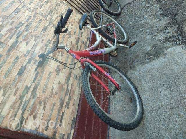 Bianchi Classic Aro 26 - Imagen 2