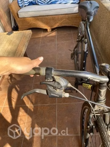 Bicicleta Totem