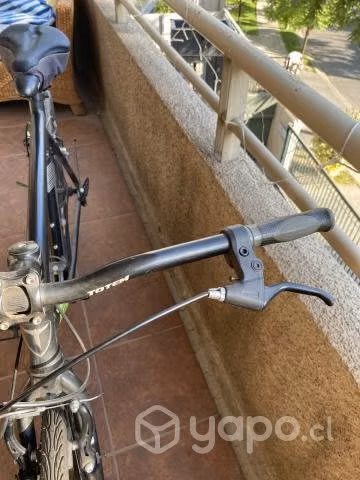 Bicicleta Totem