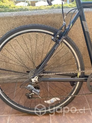 Bicicleta Totem