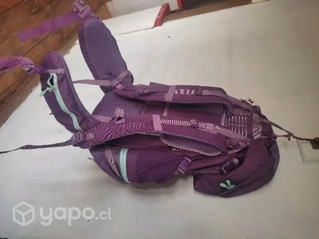 Mochila LIPPI 55 Lts. - Imagen 2