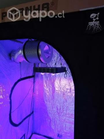 Indoor led