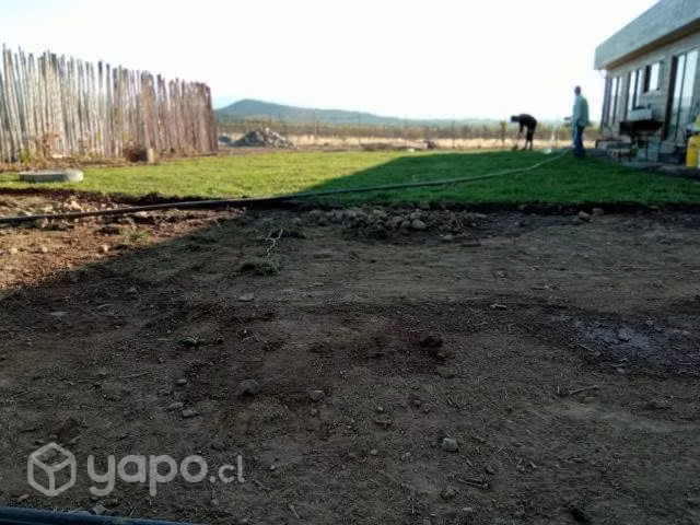 Chepica natural