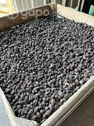Ciruelas deshidratadas