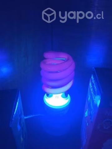 Ampolleta uv más corta imagen