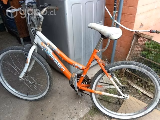 Bicicleta Lahsen 24.5