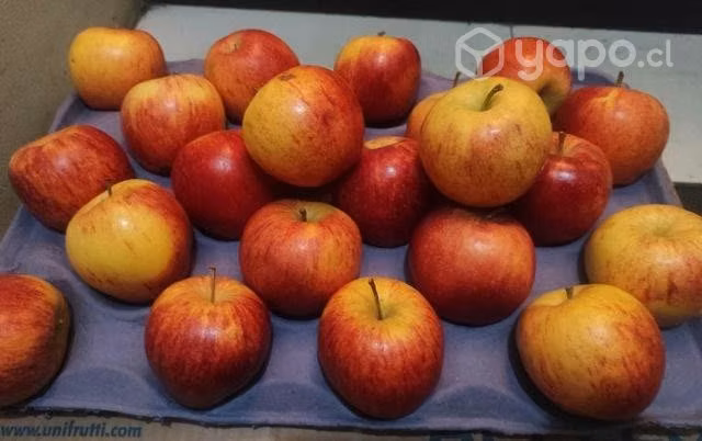 Cajas de manzana