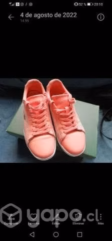 Zapatilla lacoste