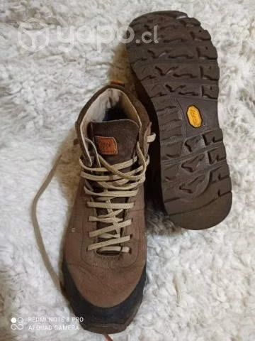 Botin Lippi