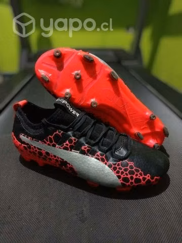 Chutiador puma