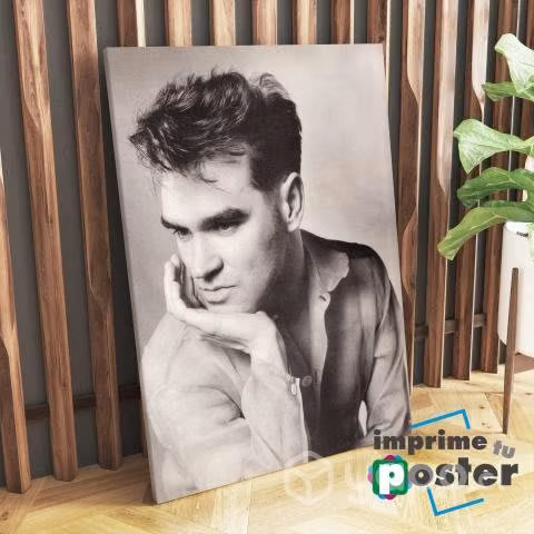 CUADRO DE MORRISEY 40x55cm llegar y colgar