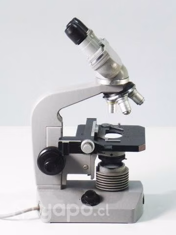 Microscopio Binocular Profesional NIKON