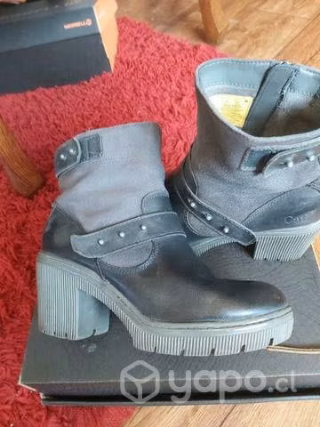 Botin cat