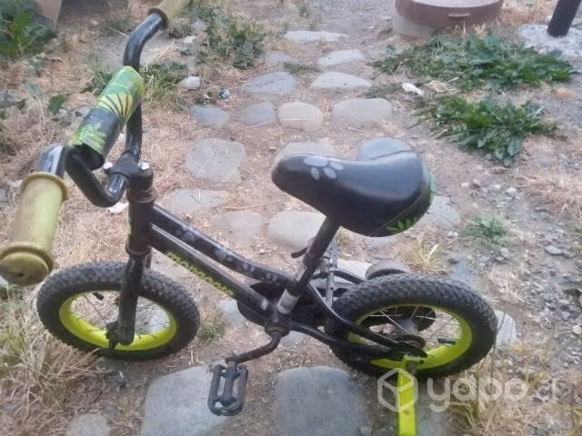 Bicicleta niño