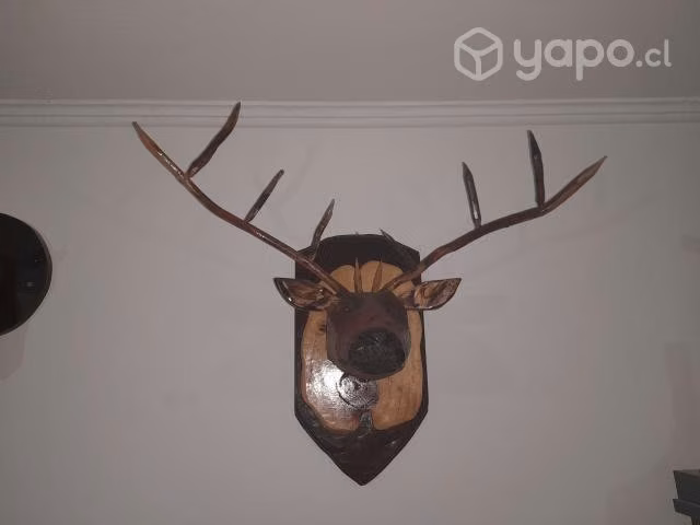 Cabeza de ciervo decorativa