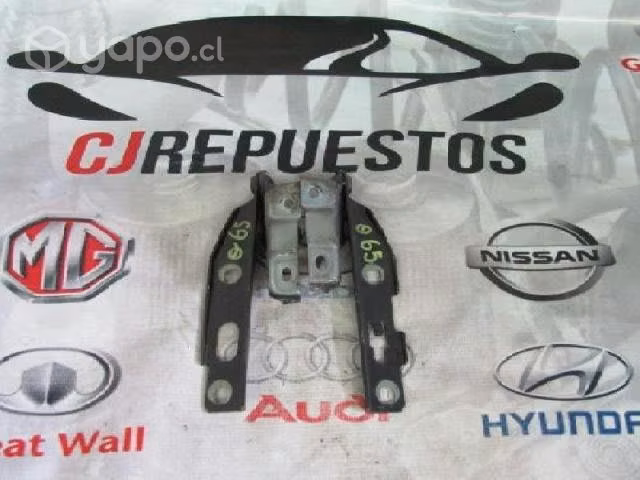 Bisagra de capot audi a5 2012