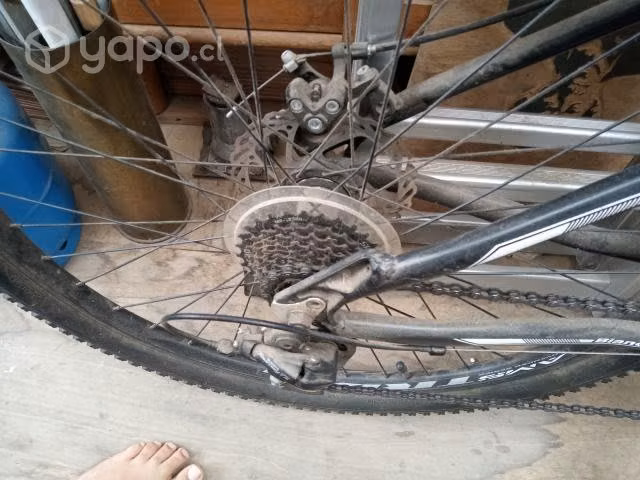 Bicicleta 2021