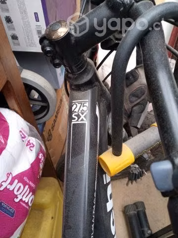 Bicicleta 2021 - Imagen 3