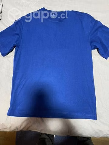 Polera hym original