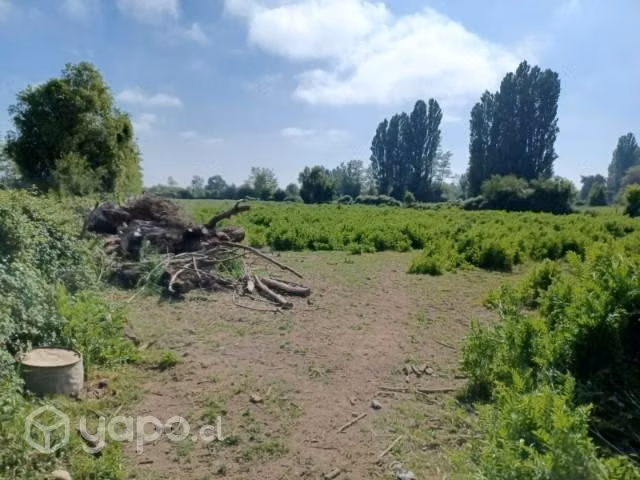 Terreno agricola