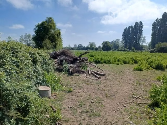 Terreno agricola