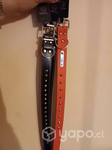 Collar para canes