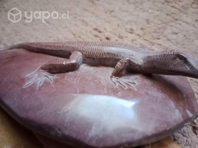 Lagartija de piedra combarbalita