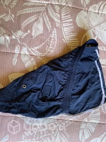 Short zara talla m - Imagen 3