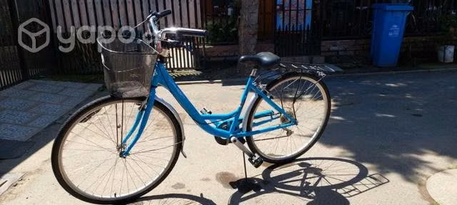 Bicicleta de paseo